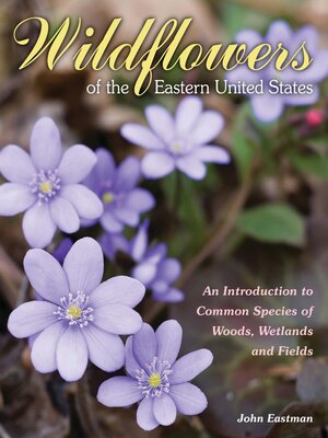 cover image of Wildflowers of the Eastern United States